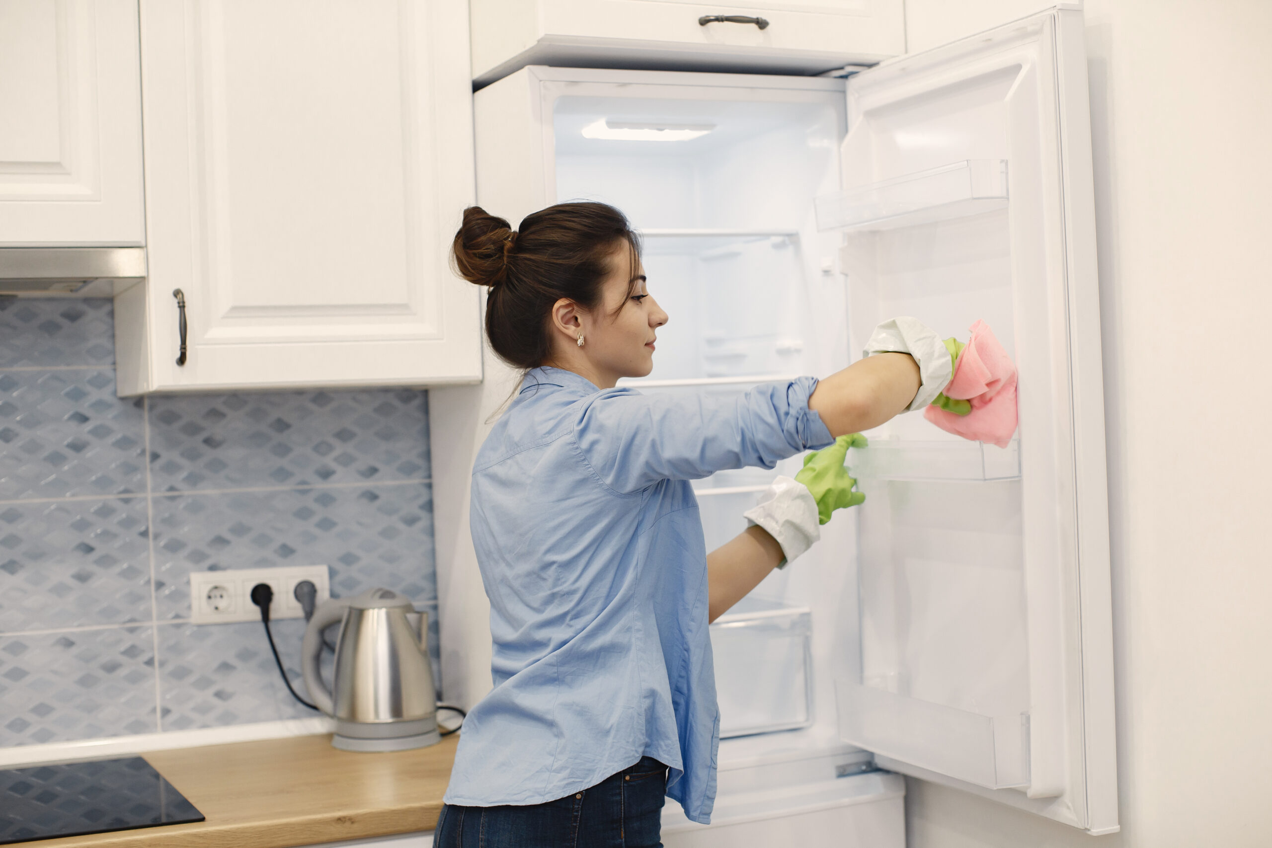 professional fridge cleaning service in Blacktown