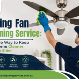 Ceiling Fan Cleaning Service